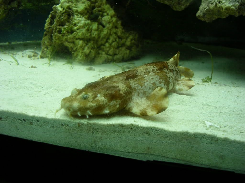 DSCN1333.jpg