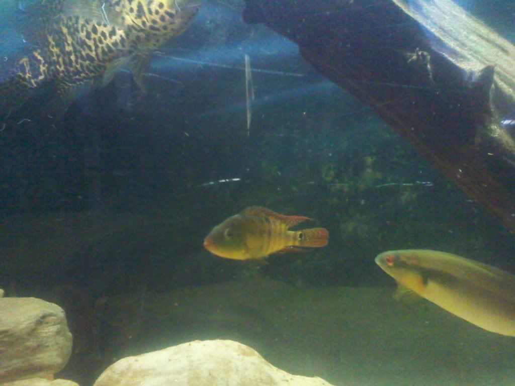 2011-04-10100638.jpg