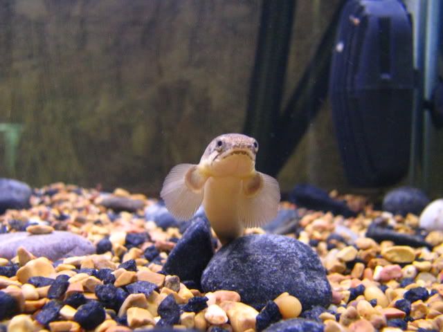 Picture016.jpg