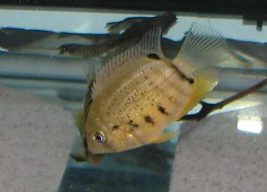 IMG_6610.jpg