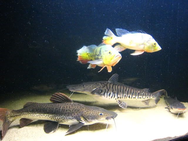 IMG_7376.jpg
