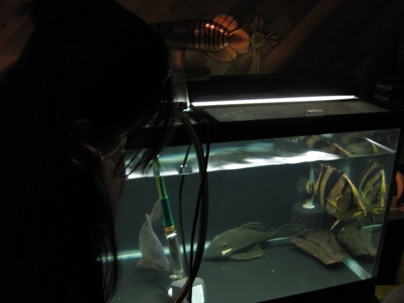 4-19-09003.jpg