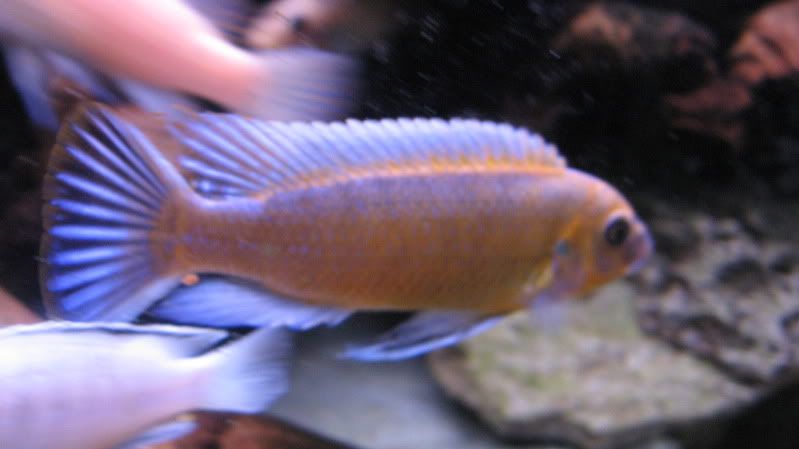 IMG_0225.jpg