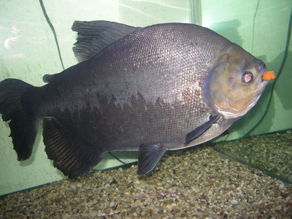 DSCN5679.jpg
