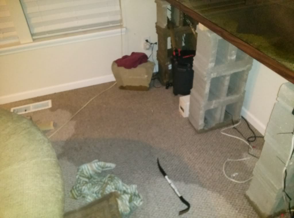 CAM00425_zps66f3a401.jpg