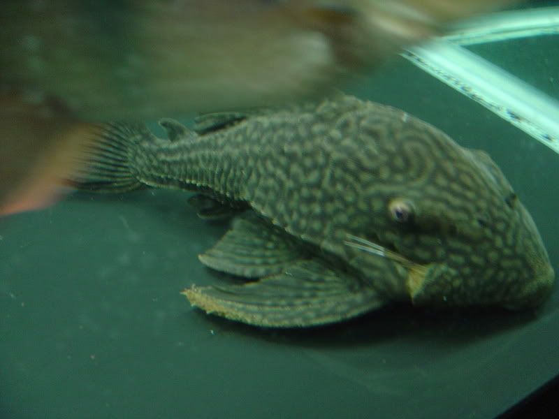9-22-08024.jpg