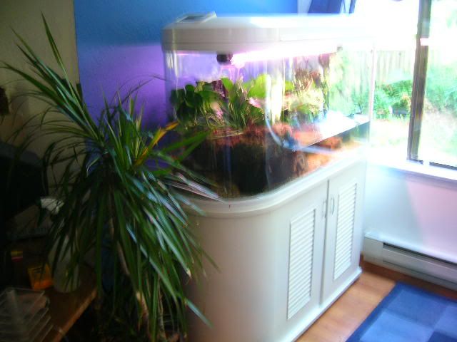 DSCN8576.jpg