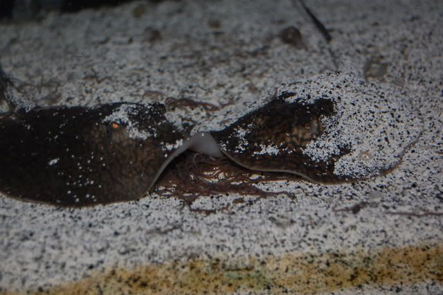 DSC_0003.jpg