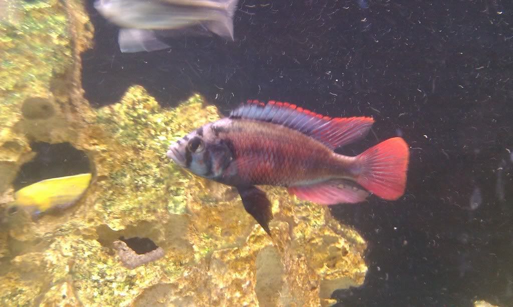 IMAG0565.jpg
