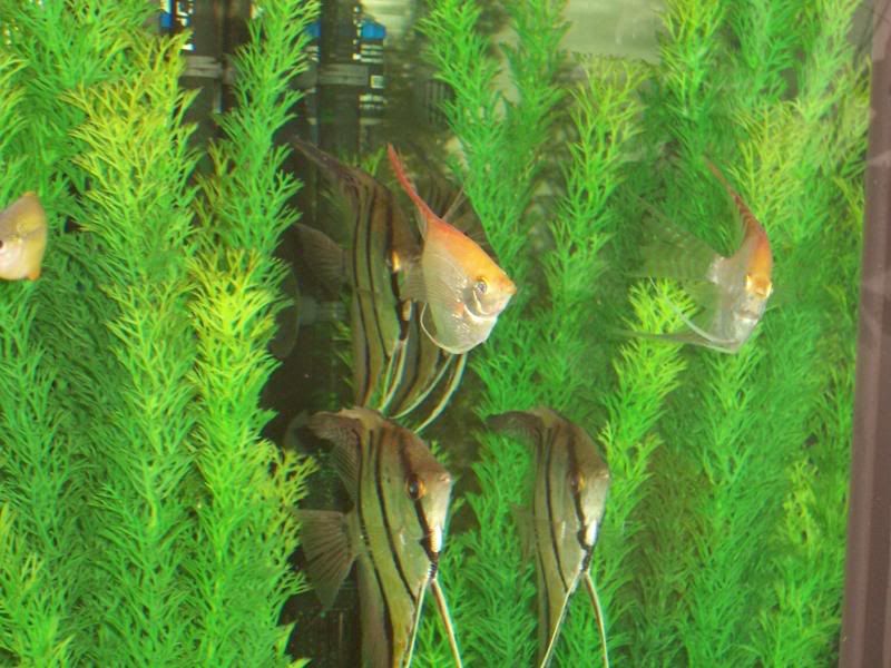 100_6022.jpg