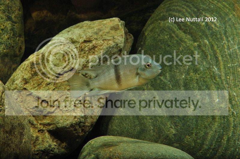 DSC_1914.jpg