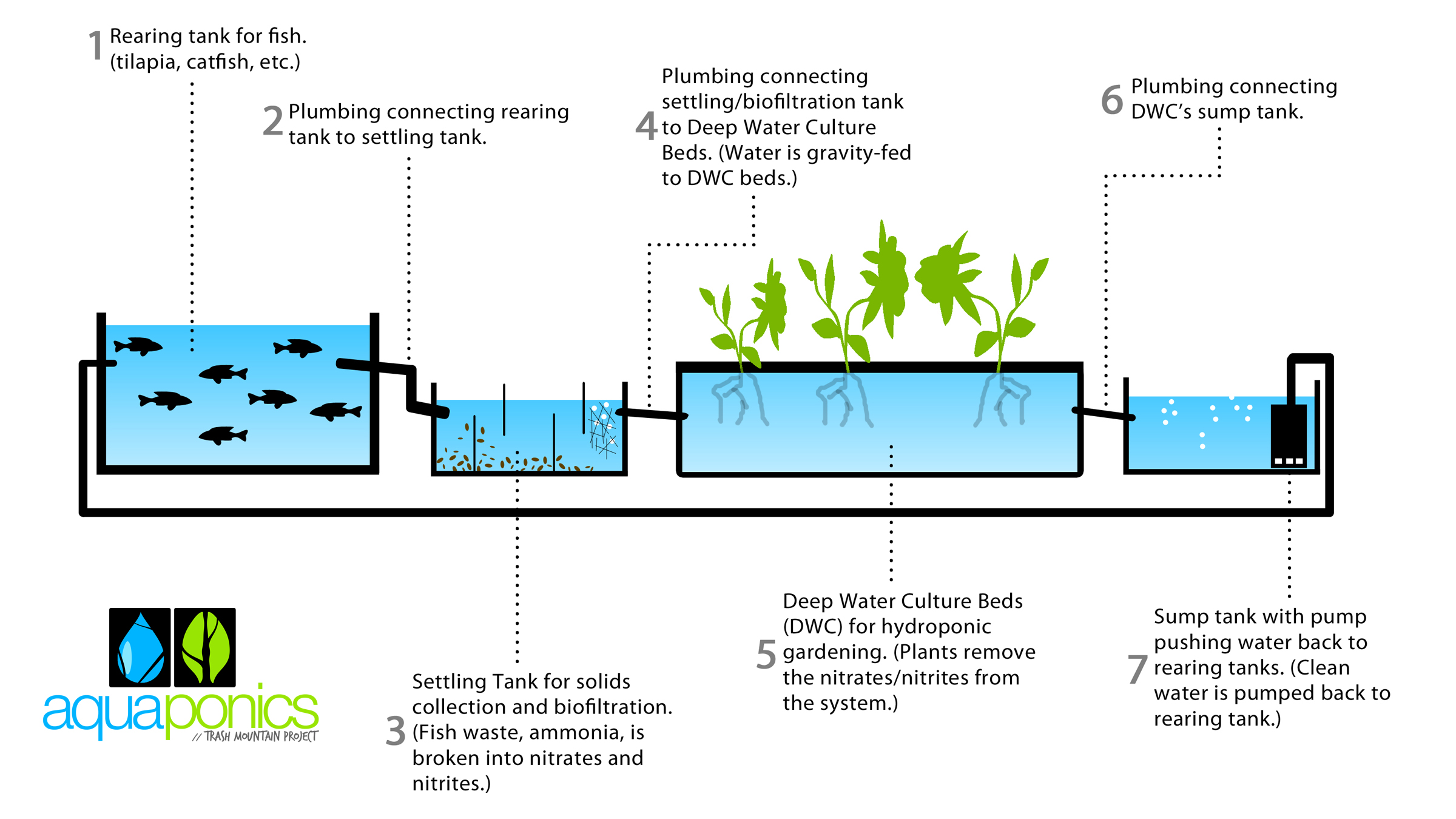 aquaponics-for-beginners.jpg