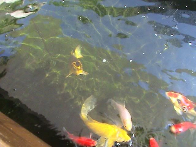 DSC02621.jpg