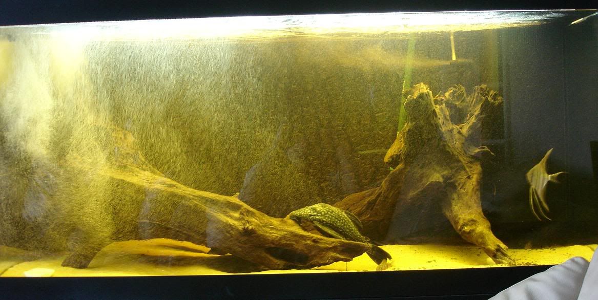 tankpicture.jpg