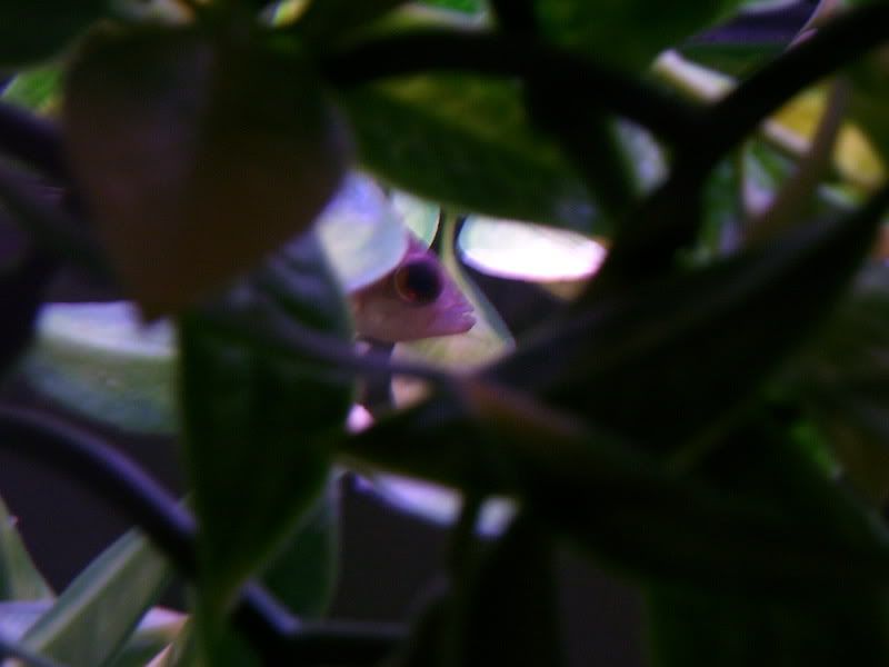100_1401.jpg