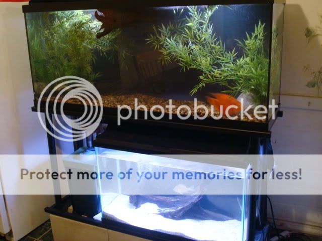 DSC07320.jpg