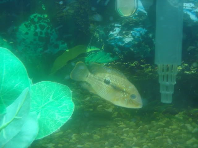 DSC00497.jpg