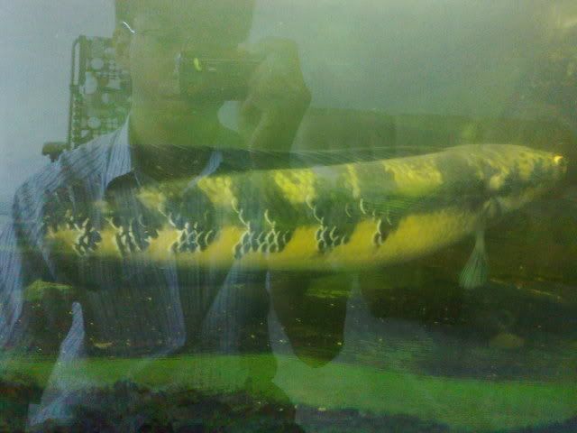 260220111421.jpg