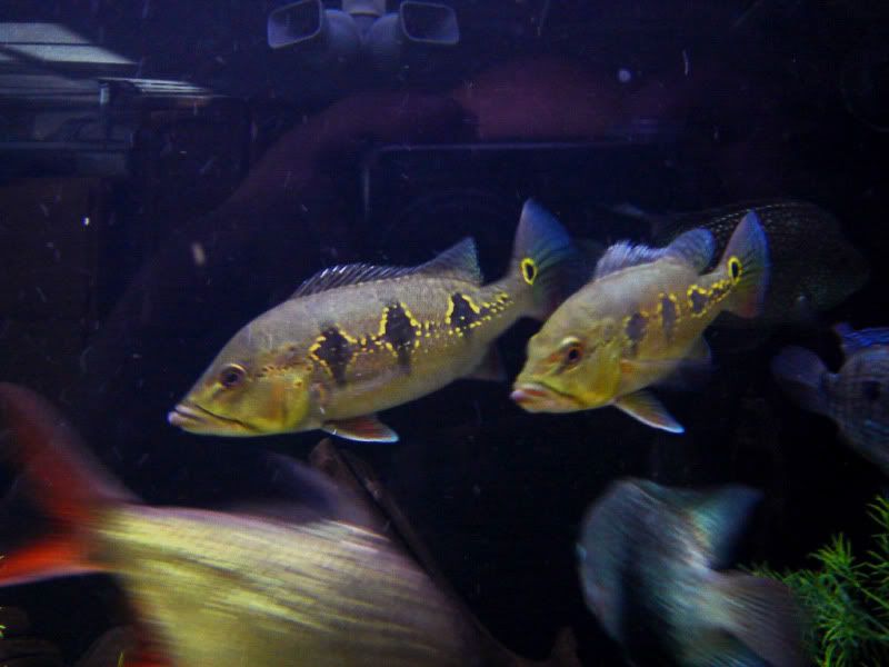 DSC07447.jpg