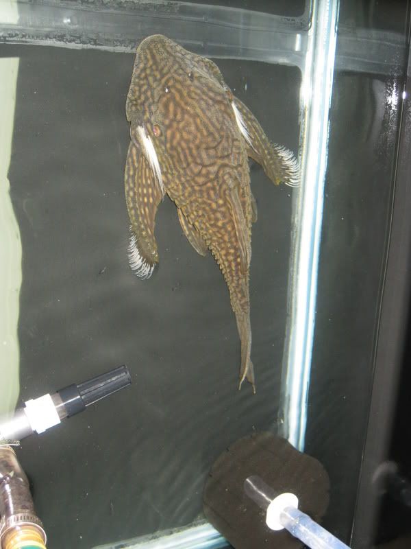 1-19-09242.jpg