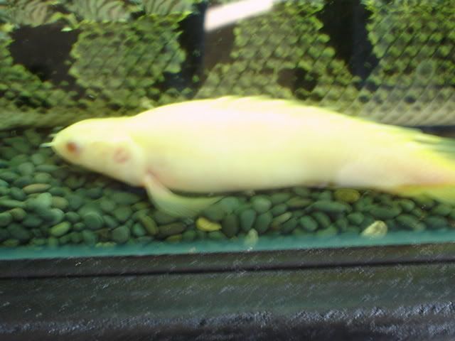 DSC09028.jpg
