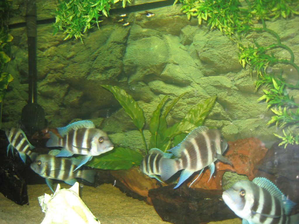 IMG_1038.jpg