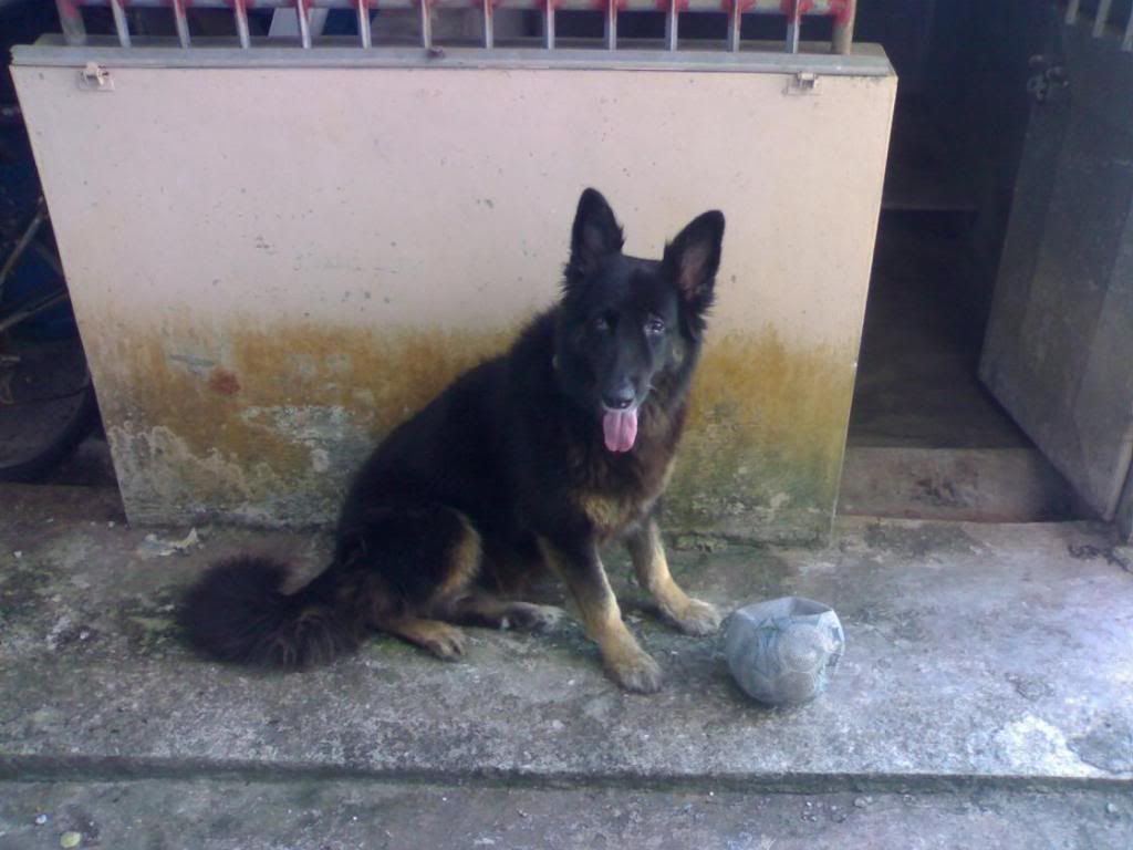14022009963.jpg