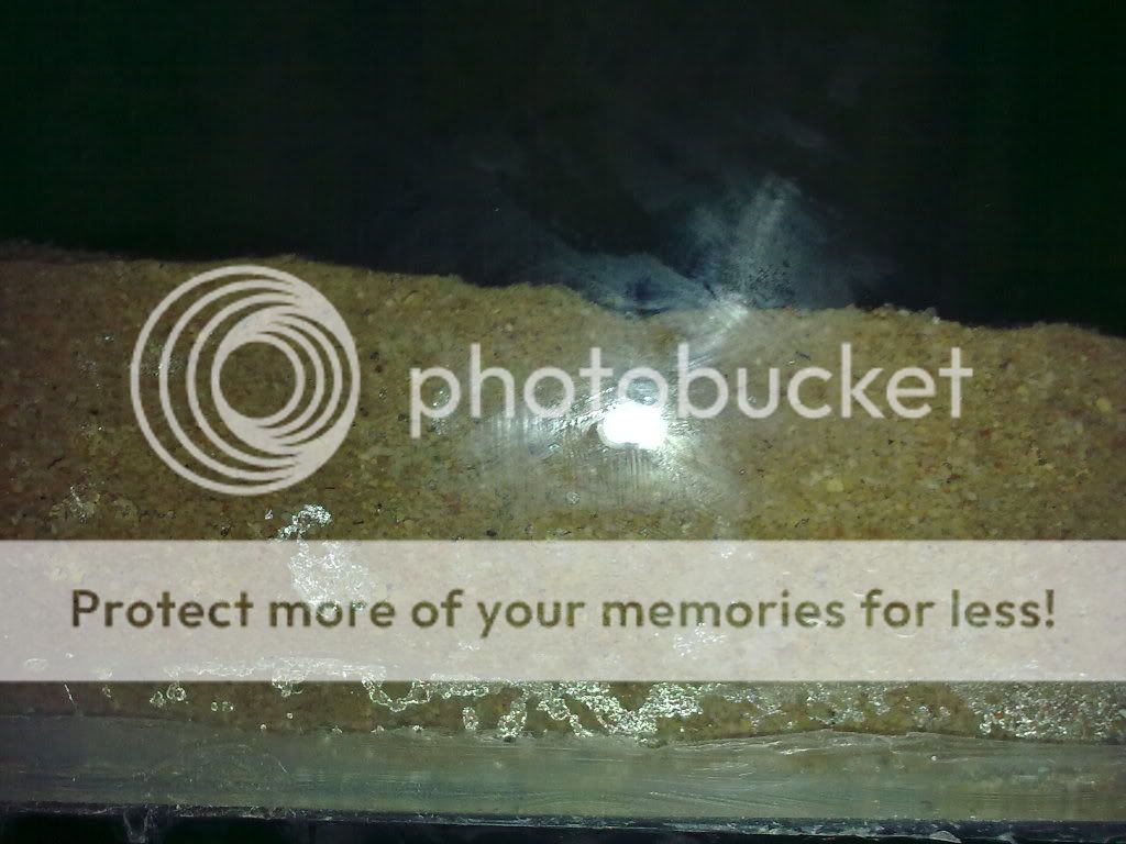 28052009077.jpg