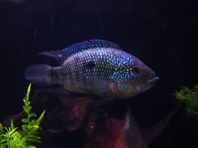 DSC07424.jpg
