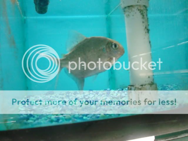 DSC05759.jpg