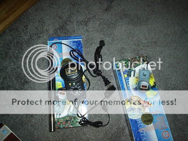 Picture149.jpg