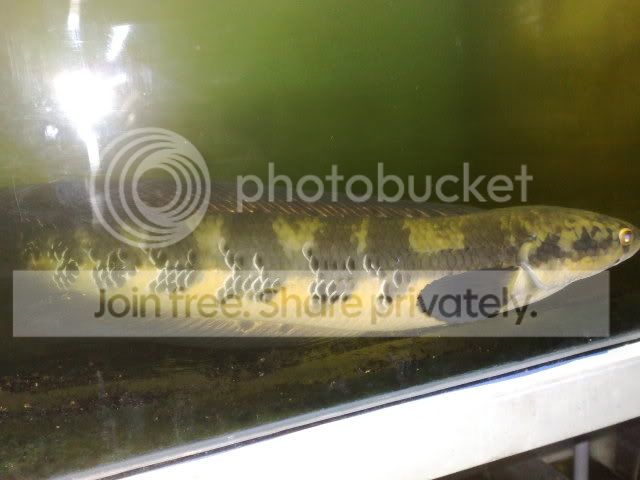 080620111735.jpg