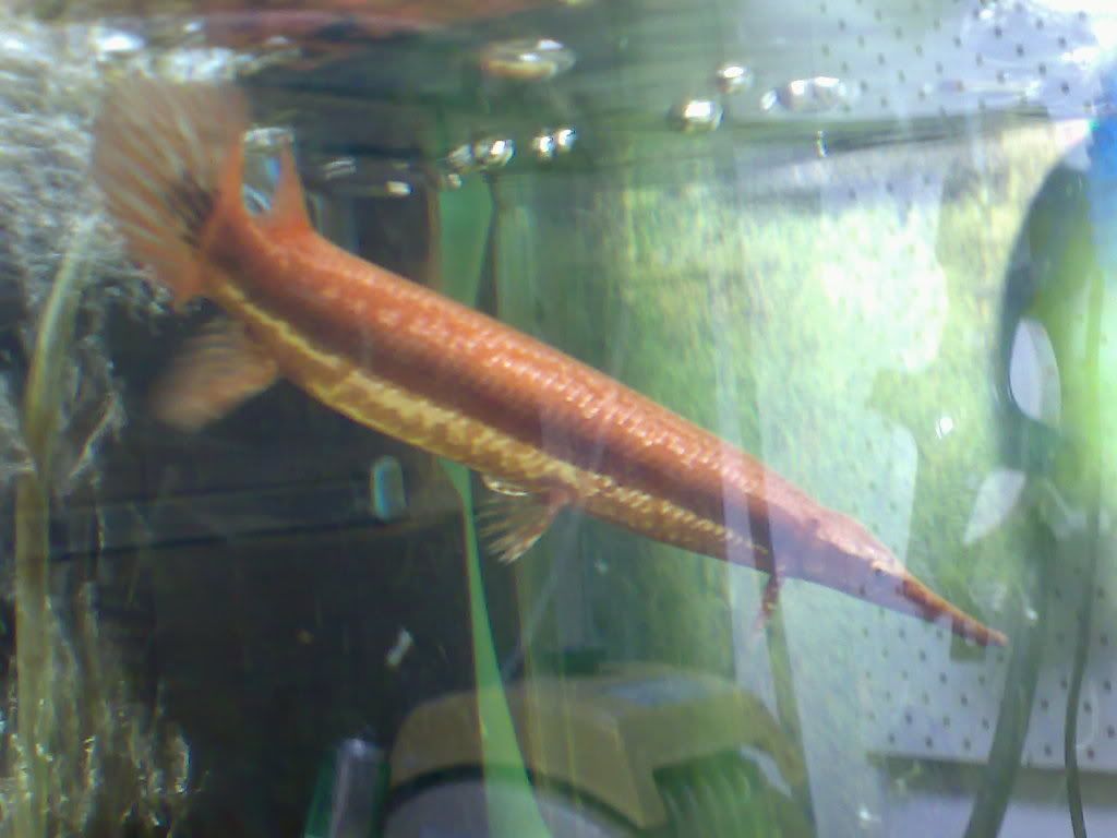 08082007388.jpg