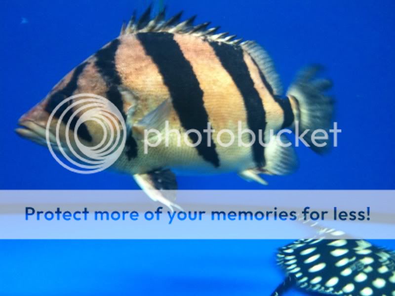 4e92a5f8.jpg