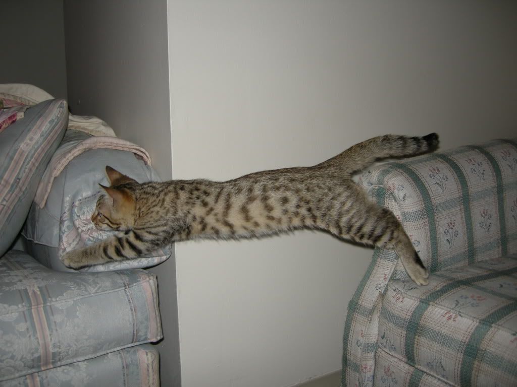 DSCN2174.jpg