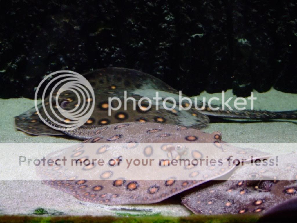 DSCF1337.jpg