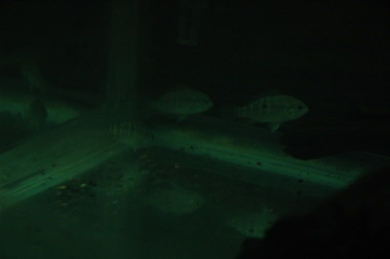 DSC_2978.jpg