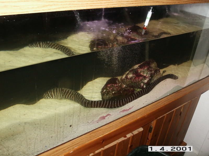 PICT0208.jpg