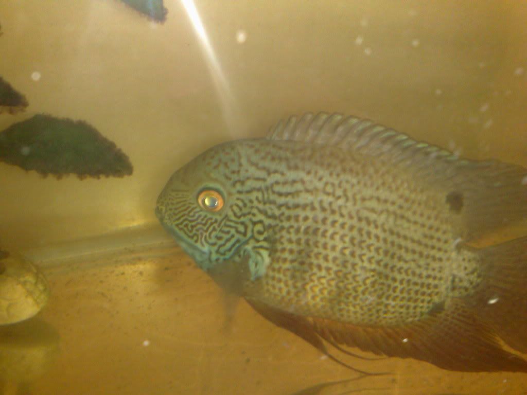 10102008107.jpg