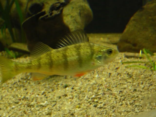 P1080348.jpg