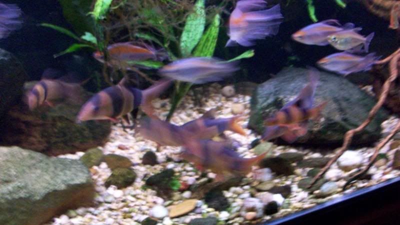 100_0057.jpg