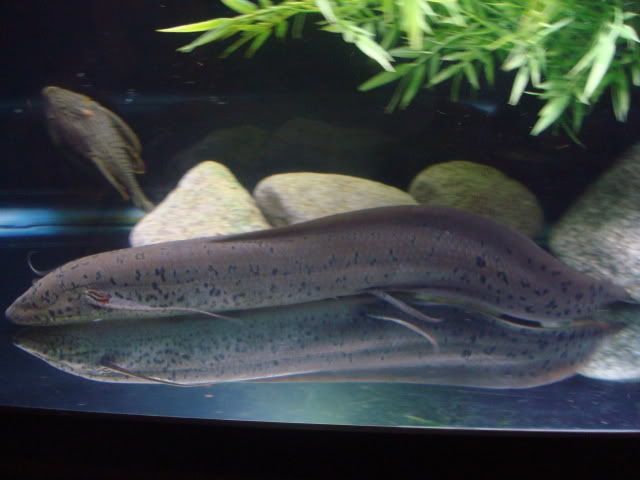 DSC07904.jpg