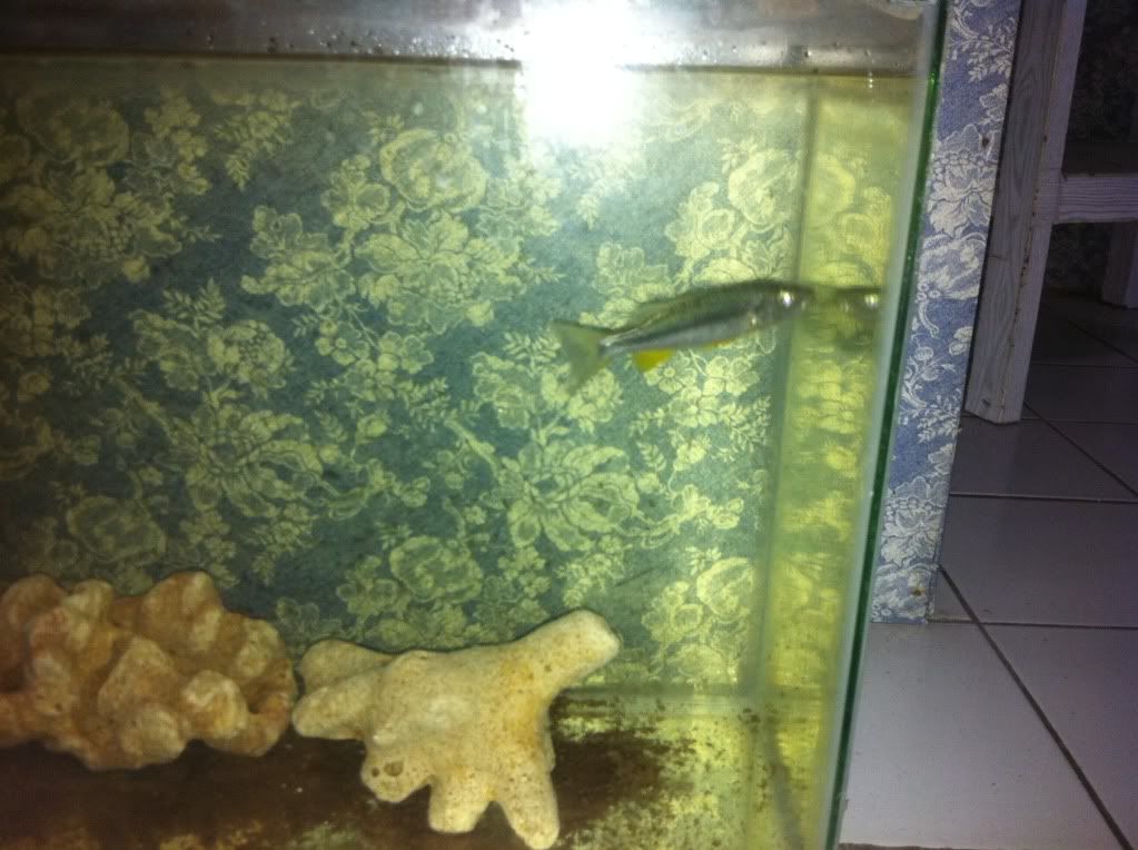 photo9.jpg