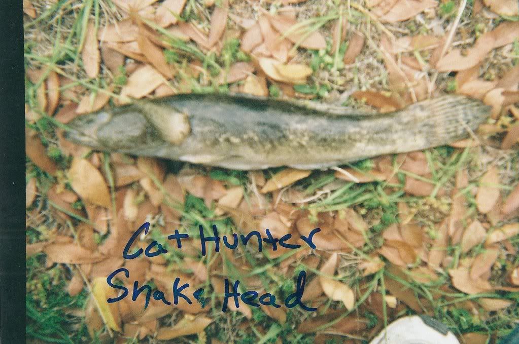 SCAN0022-1.jpg