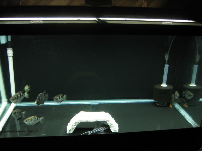11-7-09006.jpg