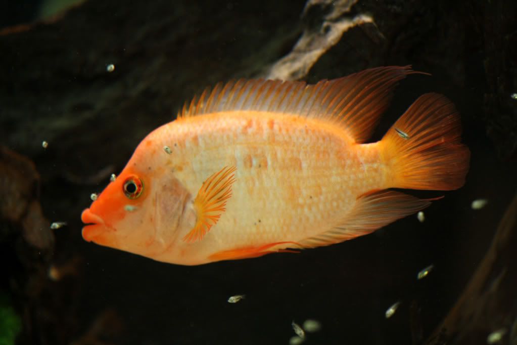 aIMG_1171.jpg