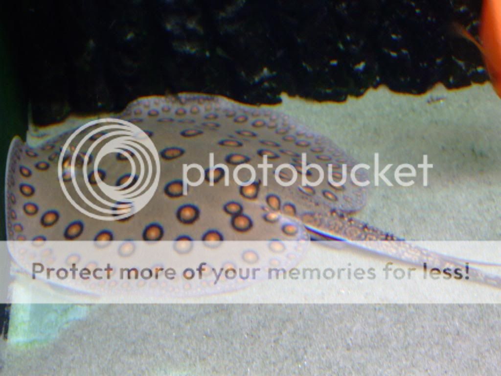 DSCF1285.jpg