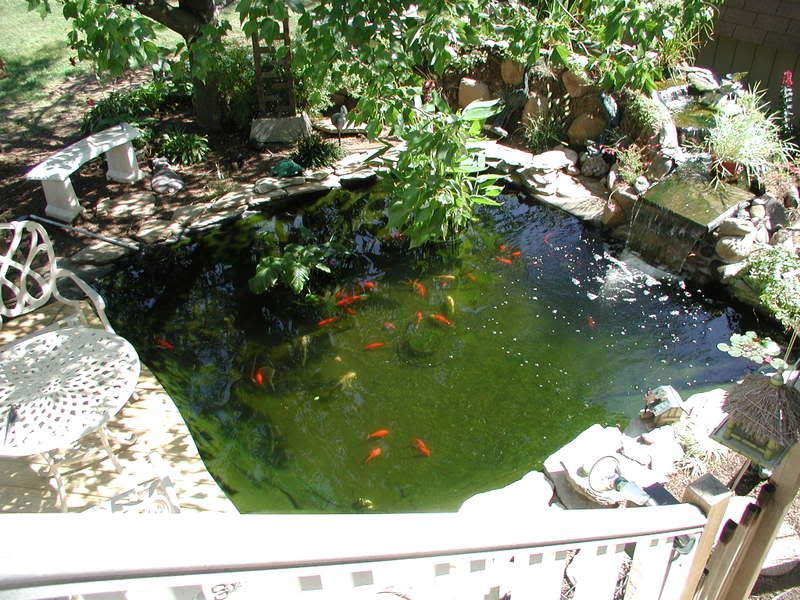 P1010005-10.jpg