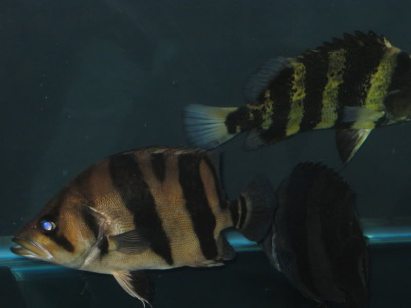 4-21-09006.jpg