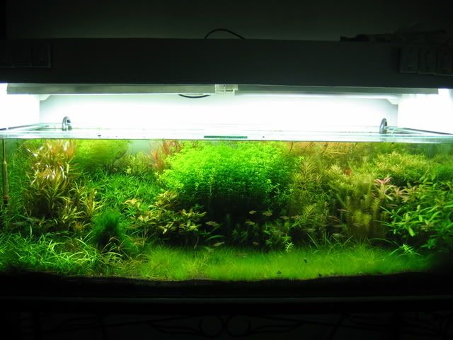 Picture011.jpg